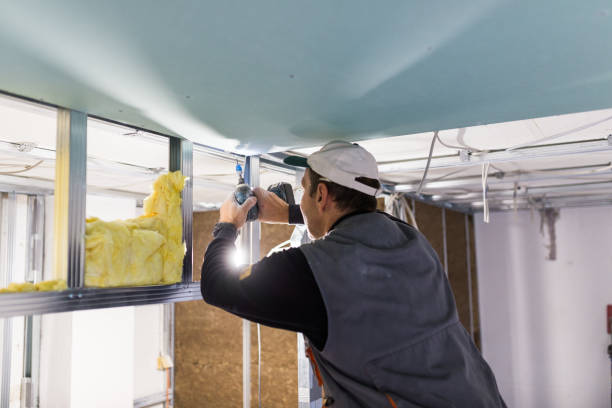 Best Commercial Insulation in Roxana, IL