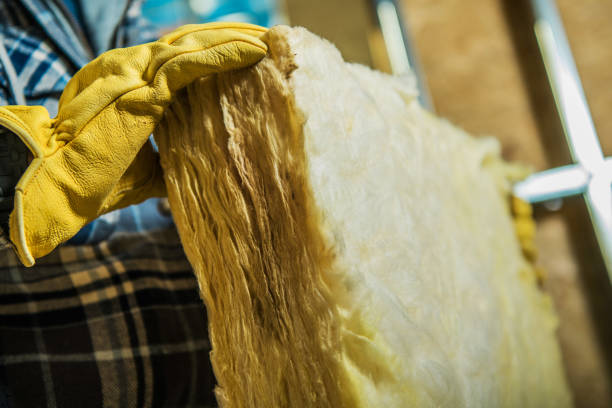 Best Insulation Maintenance and Repair in Roxana, IL